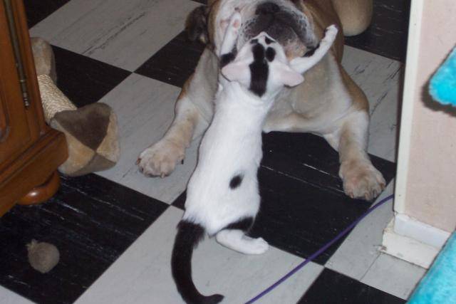 ma grosse -
