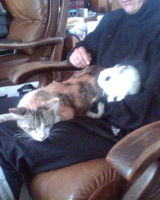 Mimine, Comanche et Cheyenne.. -