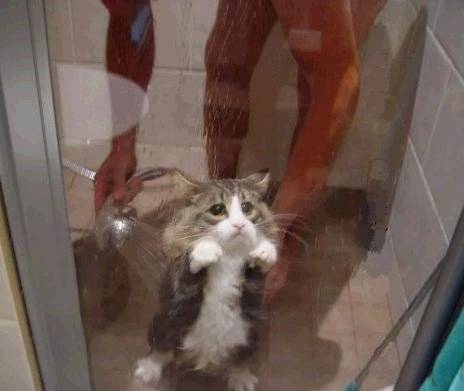 PRISE SUR INTERNET -