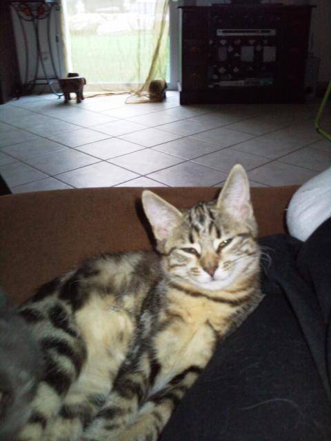 bouille -