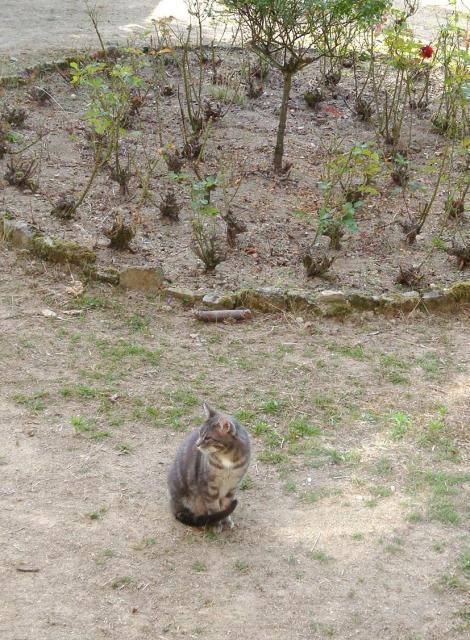 Zirou 10 ans et aveugle - (10 ans)