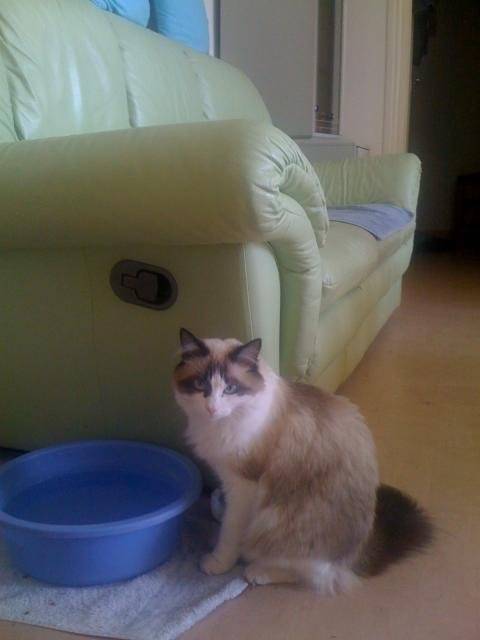 misty -