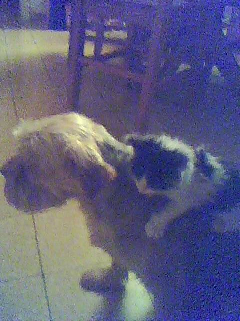 lidzy et tinou -