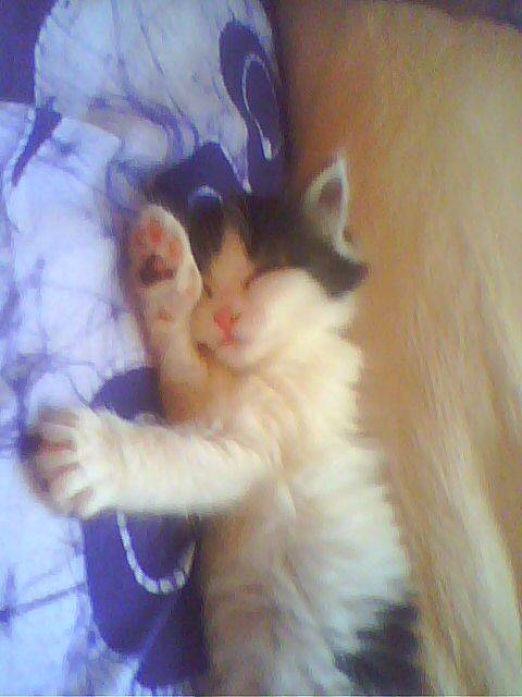 lidzy qui dort -