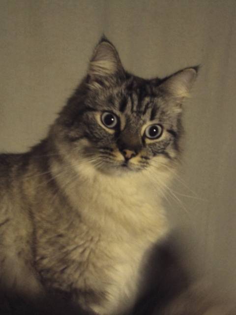Max -