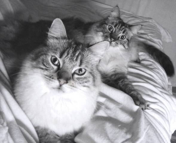 Léo et Max -