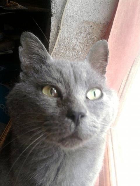 Léo -