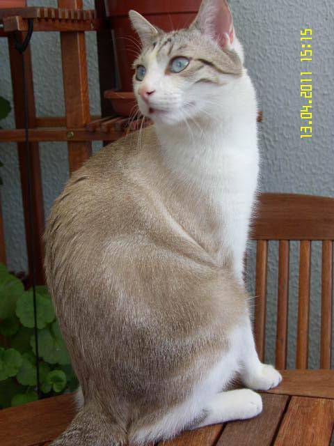 Spike -