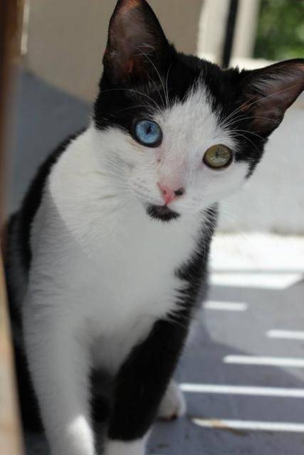 Et voici Twix ! -