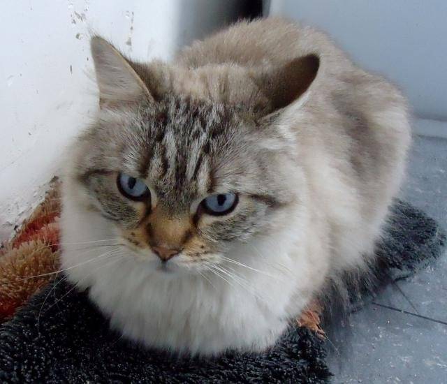 Léo, 2012.05.07 -