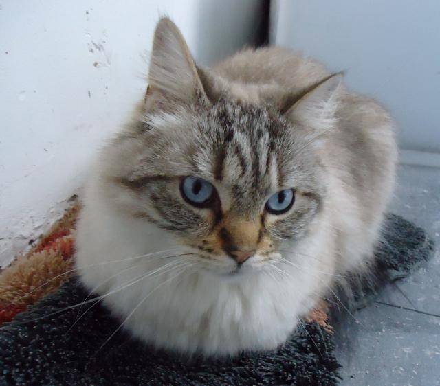 Léo, 2012.05.07 -