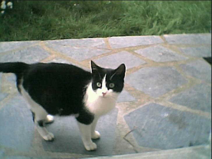 Zoé - (2 ans)