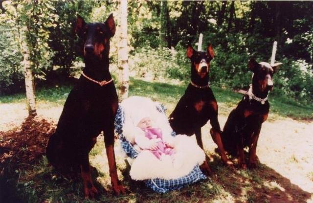 Doberman : Iena, Ixia et Isis -
