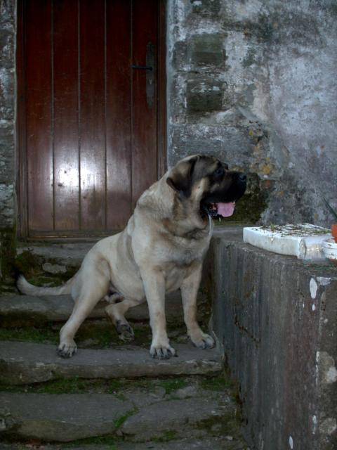 Photo 030.jpg -