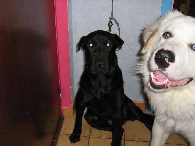 charles et edouard -