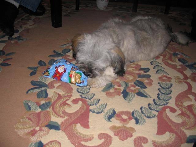 louna -