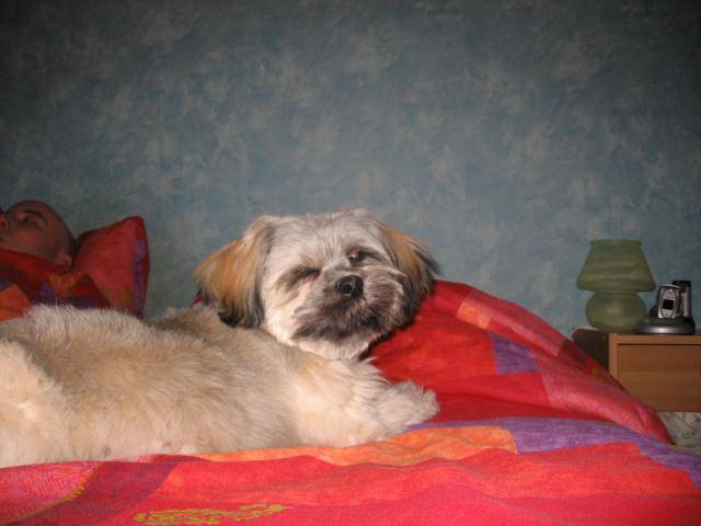 louna -