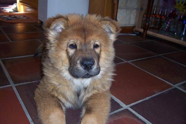 KIBOU 4 MOIS - (4 mois)