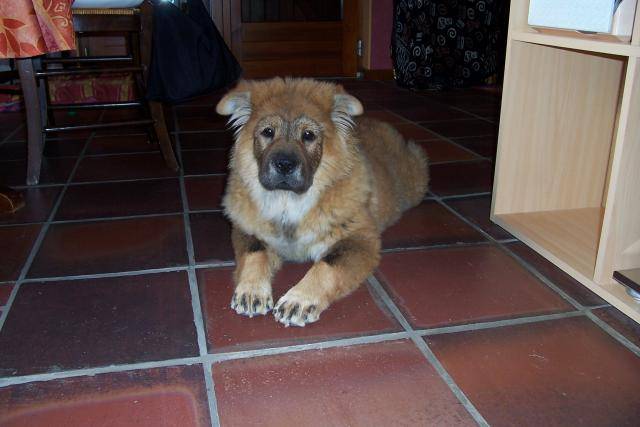 kibou -