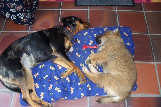 plume et kibou -