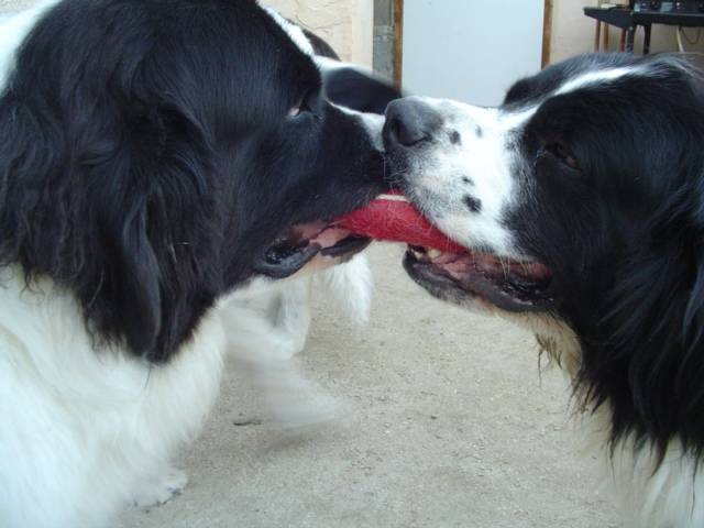 DSC00004.JPG -