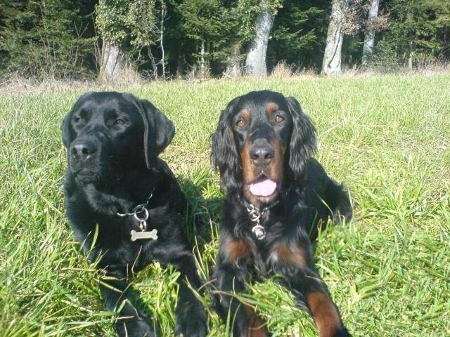 Skaya et Bayko -