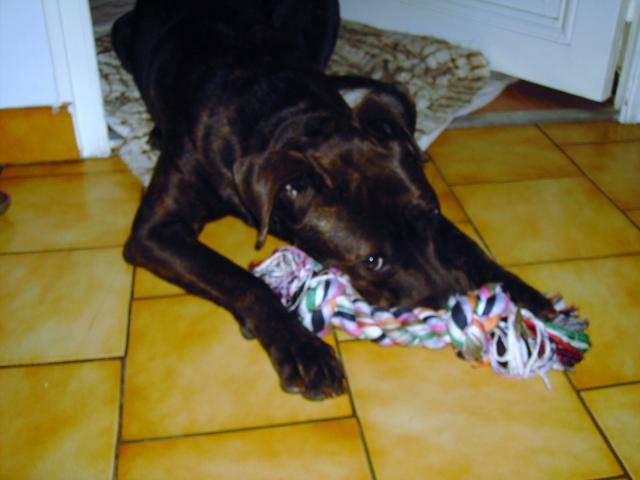 CHOUPY -