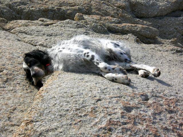 Scott en Corse 2007 -
