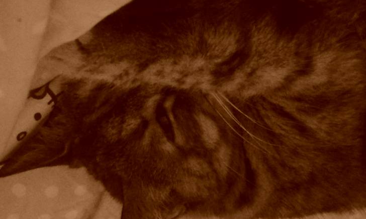Lila - (13 ans)