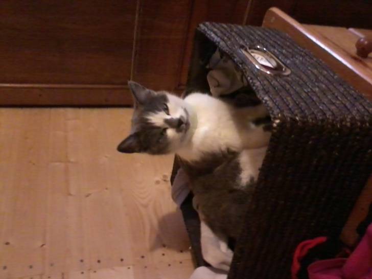 Ficelle - (2 ans)
