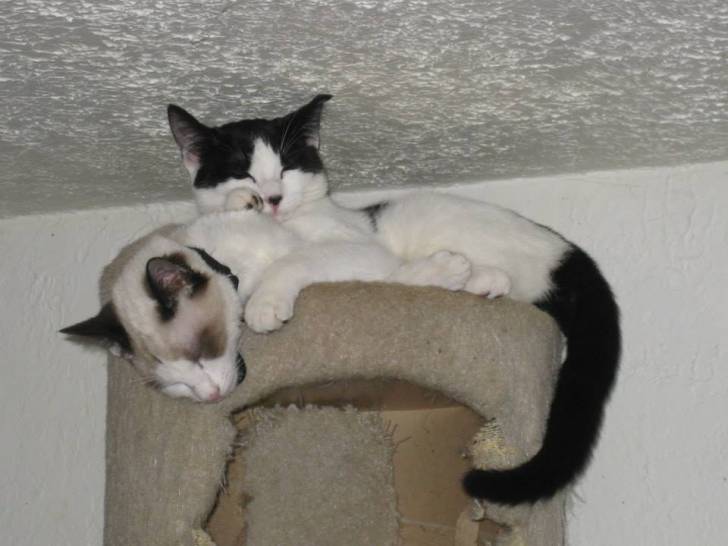 Jake and Katie -