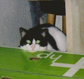 Marie -