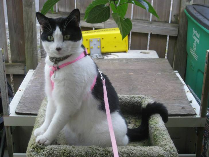 Katie -