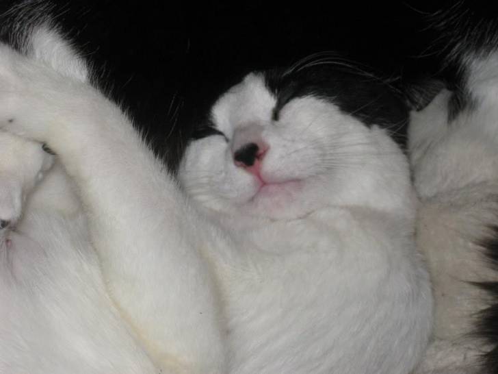 Katie -