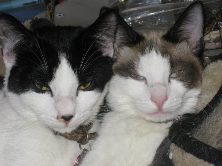 Jake and Katie -