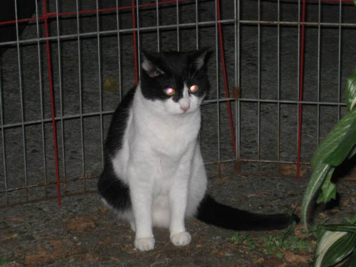 Marie -