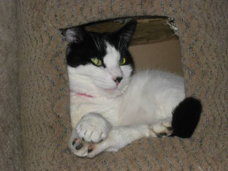 Katie -