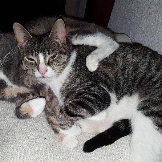 Sky and Tiny -