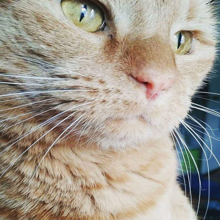 Elise - (2 ans)