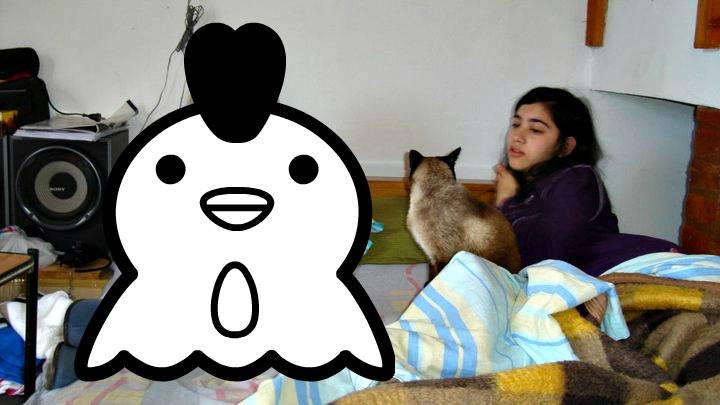Misha Mimosa, en Bariloche - (1 an)