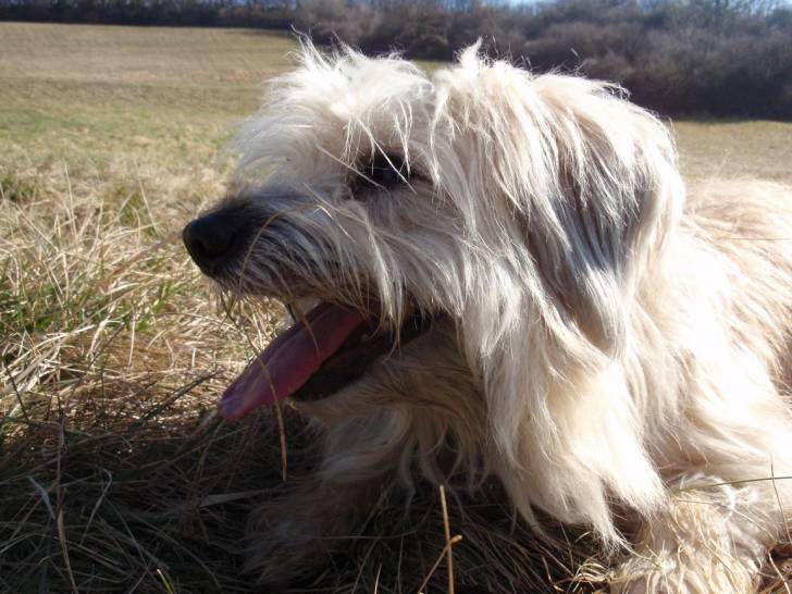 Caïlys - (3 ans)