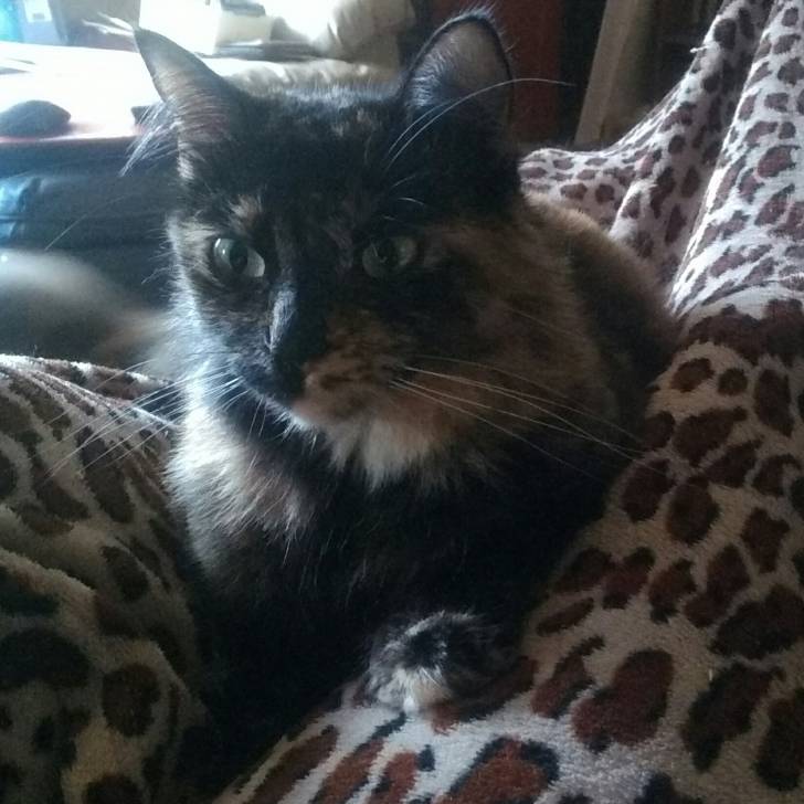 Lila - (8 ans)