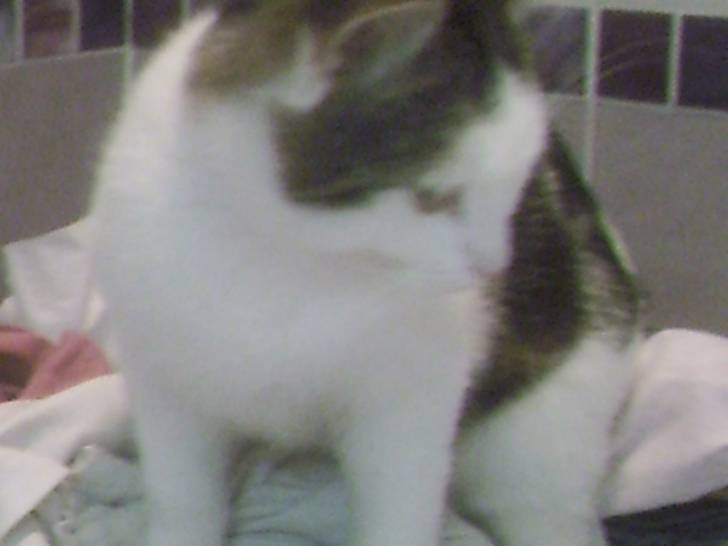 juju - (2 ans)