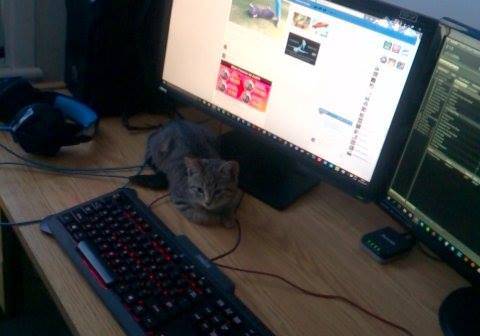Adabella - (3 mois)