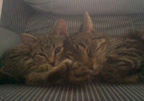 Adabella et Ti-mine -