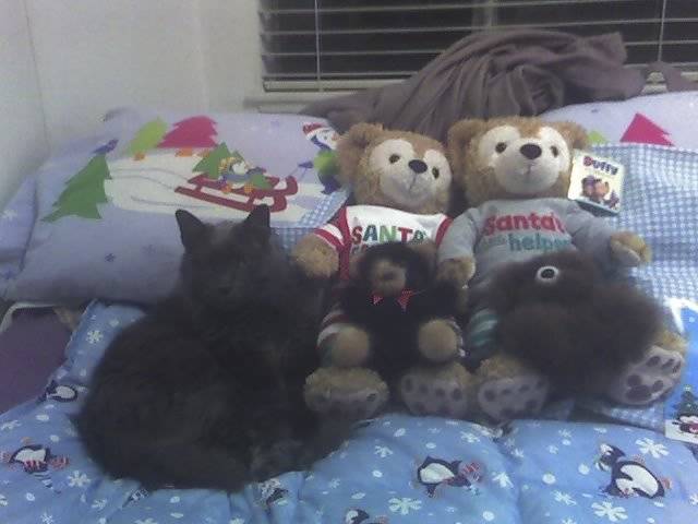 BooBoo and friends - Mâle (14 ans)