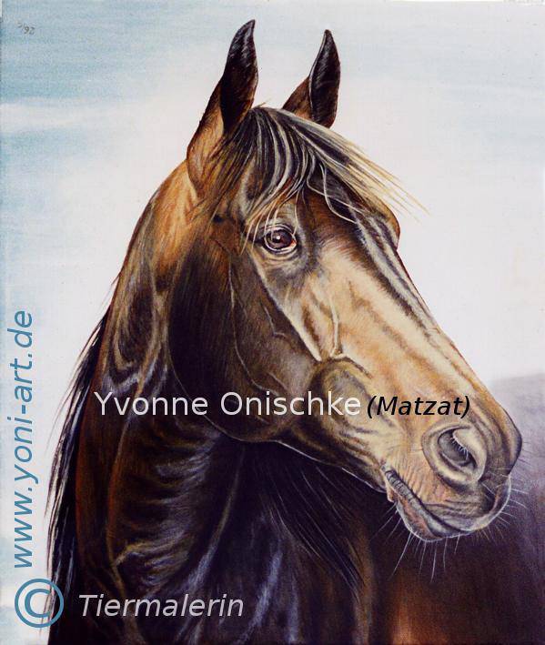 Acrylmalerei - Traber - Mâle (4 ans)