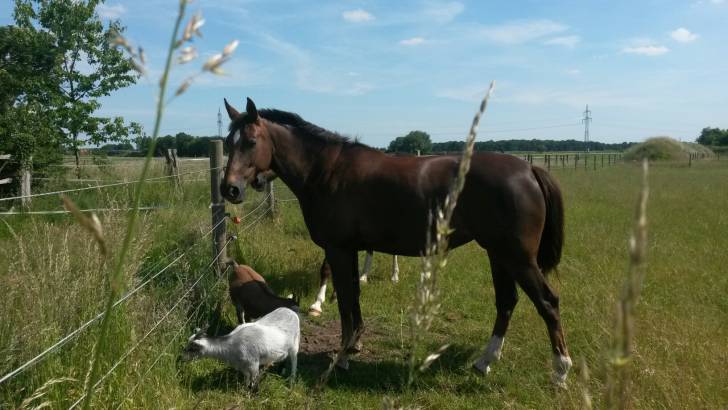 Tiffy - (7 ans)