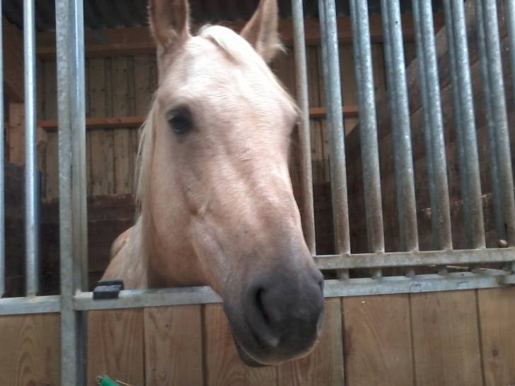 Mireille - (7 ans)