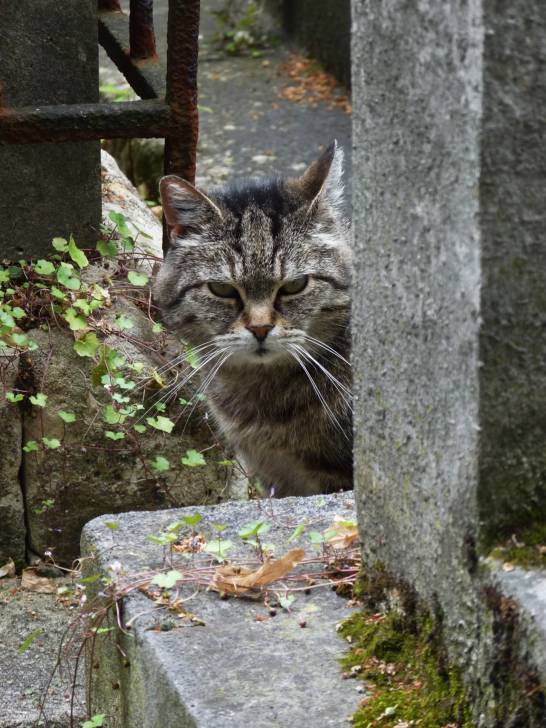 Bill -